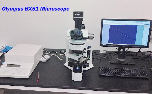 Olympus BX51 polarizing microscope