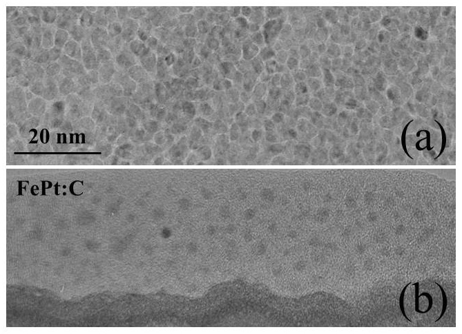 Plane-view and cross-sectional TEM images of FePt nanoparticles in C matrix. (provided by X.Z. Li)