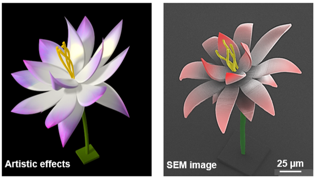 When engineers become artists, a micro blooming lotus with a dimension smaller than the diameter of human hair was created via a microscale 3D printing technology: two-photon polymerization (Nanoscribe Photonic Professional GT).