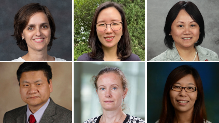 The research team includes (top row, from left) Lucia Fernandez Ballester, Seulki Kim and Yusong Li; and (bottom row, from left) Yongfeng Lu, Svetlana Romanova and Bing Wang.