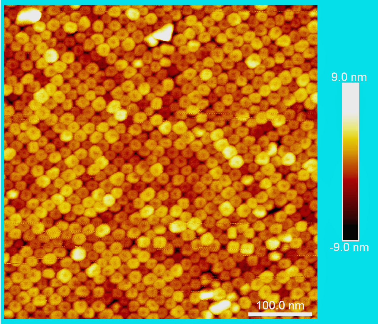 AFM image of the as-synthesized Co